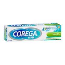 Diş Protezi Yapıştırıcı Krem 40 G
