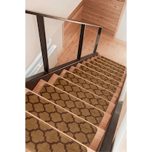 Koyu Kahverengi - Siyah