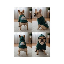 Penye Baskılı Sweatshirt Haki