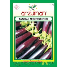 Arzuman Kemer Patlıcan Tohumu 10 GR Paket