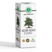 Sedir Ağacı