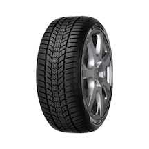Sava Eskimo Hp 2 205/50R17 93V Xl Fp Kış Lastiği 2026