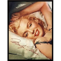 Marilyn Monroe Magnet Diğer