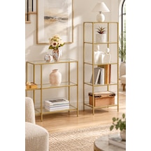 Teknor Gold Çerçeveli Şeffaf Cam Modern Salon Kitaplığı 40 Cm