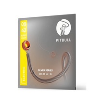 Pitbull Silver Seri Elektro Gitar Teli 09-42 Super Light Seg 09-42 Sl