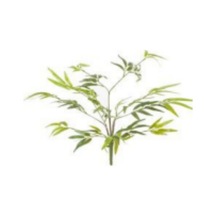 Yapay Bambu Dalı - 55 Cm Çok Renkli