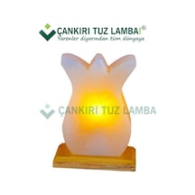 Çankırı Tuz Lamba'dan Doğal Lale Kaya Tuz Lambası