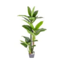 Yapay Ağaç Difenbahya Gerçek Dokulu 47 Yaprak 180 Cm. Çok Renkli