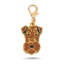 Fox Terrier Altın Kaplama Mineli Tasma Aksesuarı Renkli