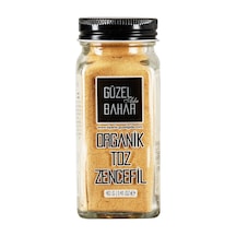 Güzel Ada Organik Toz Zencefil 40 G - 8 Adet Tarı