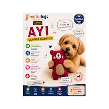 Köpek Oyuncağı Ayı