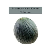 Hasanbey Kavun Tohumu 1 Paket 10gr 300+adet Kara Kavun