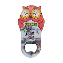 İsveç Temalı Baykuş Magnet Kapak Açacak