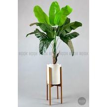 Yapay Muz Ağaci 125 Cm Ayakli Krem Metal Saksıda