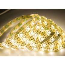 Dış Mekan Silikonlu Günışığı Şerit Led Ct-4488