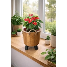 İnci Mobilya Ahşap Ahşap Saksı Yuvarlak Orta Boy Saksılık Natural 35x22x22 Standart