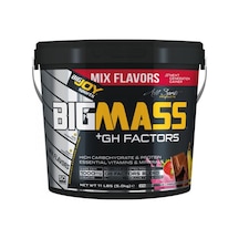 Bigjoy Sports Bigmass Gainer + Gh Factors Mix Aroma 5000 Gam