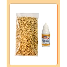 Pond Stick Naturel Japon Balığı Yemi 100gr + Fish-vit Balık Vitamini