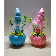 Neolife Yeni Doğan İkiz Bebek Hediyesi Doğum Tebrik Hediyesi Sevimli Tavşancık Detaylı 2 li Kabak Teraryum