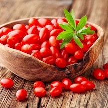 Saksılı 3 Adet Goji Berry Fidanı 1-2 Yaşında - Ve Lezz