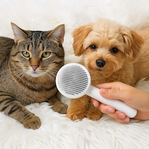 Evcil Hayvan Kedi Köpek Basmalı Tarak Lüks Key Pet Comb