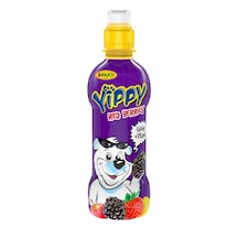 Yippy Kırmızı Meyveler 330 Ml X 12