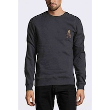 Groot Göğüs Baskılı Füme Antrasit Erkek Örme Sweatshirt