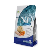 Ayrex Ocean Kuru Kedi Maması, Morina Balığı, Karides, Balkabağı Ve Kavunlu, Yavru Kedi, 1.5 Kg