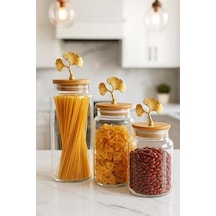 3&apos Lü Bambu Kapaklı Metal Ginkgo Figürlü Şeffaf Cam Kavanoz Şeffaf Cam Saklama Kabı 635/890/1400ml Ahşap