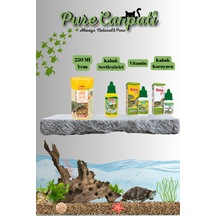 Purecanpati Su Kaplumbağası Yem & Kabuk Bakım Seti Raffy I 250 Ml