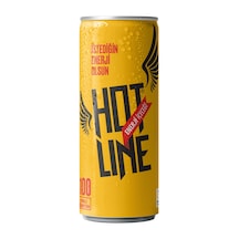 Hotline Enerji İçeceği 250 ml 6'lı