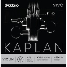 Daddarıo Kv313