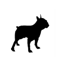 Köpek Folyo Sticker Derstv878 30cm Uzunluk Siyah