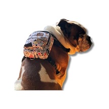 Dr. Premium Sığır Etli Doğal Sığır Derisi Press Kemik Tahılsız Köpek Ödülü 10 220-240 Gr 1'li