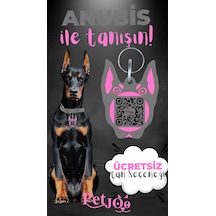 Petjoo 30.Anubis Pembe-Gri Qr'lı Köpek Künyesi