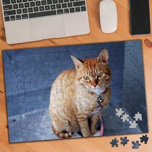 Sarı Tüylü Sevimli Kedi 240 Parça Puzzle Yapboz-74530