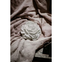 Bernami Biblo Pinterest Dekoratif Şakayık Çiçeği Biblo/obje