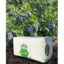 250 Lt Blueberry Yaban Mersini Torfu Ph 3,5-4,2 Asidik Toprak