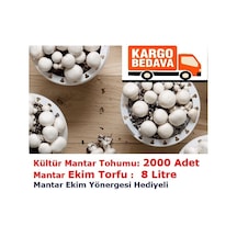 2000 Adet KüLür Mantarı Tohumu + 8 Litre Mantar Ekim Torfu