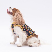 Pawstar Star Hamburger T-shirt Küçük Irk