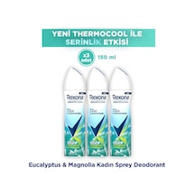 Thermocool Kadın Sprey Deodorant Eucalyptus & Magnolia 150 Ml X3