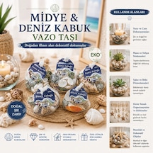 Ers 15 Adet Fileli Renkli Mix Eko Midye - Deniz Kabuk Vazo Taşı Çok Renkli