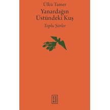 Ketebe Yanardağın Üstündeki Kuş