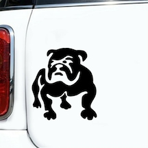 Sevimli Fransız Bulldog Köpek Sticker Yapıştırma 2
