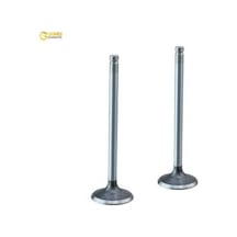 Subap Emme Egzoz A6 2.4 V6 24v Eng.bdw Güneş 06e109601h/ 06d109611l
