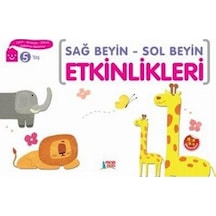 Sağ Beyin Sol Beyin Etkinlikleri 5 Yaş - Minik Ada Yayınları