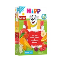 Hipp Organik Karışık Meyve Sulu Dondur Ye 10 X 40 Ml - 2 Adet Tarı