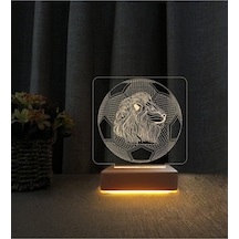 3d Led Gece Masa Lambası Doğum Günü Hediyesi Aslanlı Lılar Için Hediye 3d Led Gece Masa Lambası Doğum Günü Hediyesi Aslanlı Lılar Için Hediye