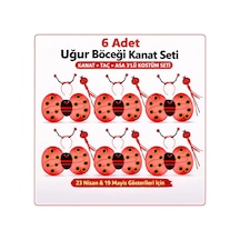 639lı Uğur Böceği Kostüm Seti Kanat Taç Asa
