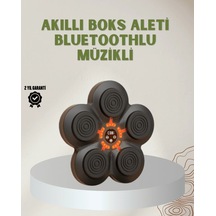 Lb Bluetoothlu Akıllı Boks Antrenman Cihazı Işıklı Hedefli Kardiyo Ve Fitness Aleti
